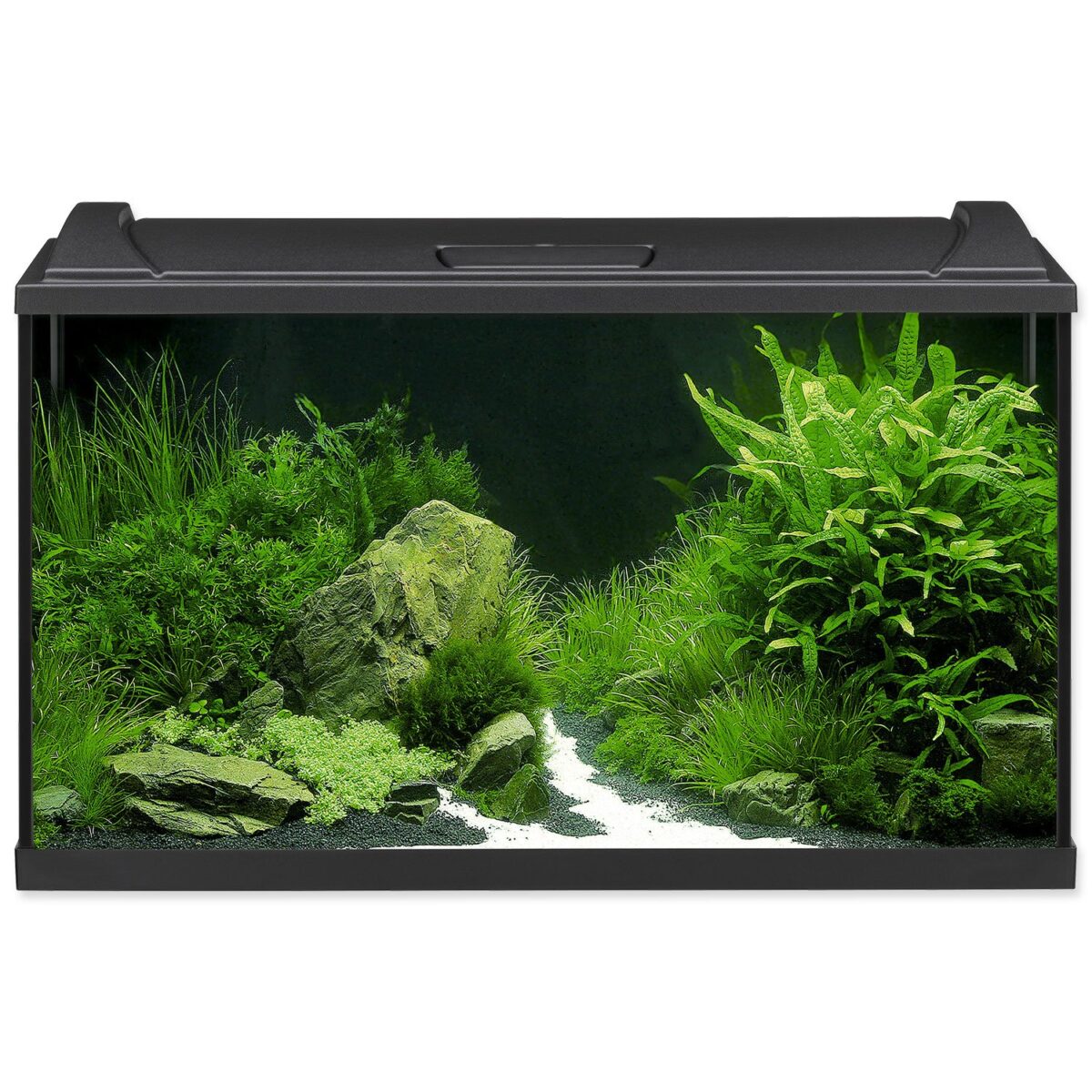 Eheim Aquapro LED akvarijný set čierny 82 x 50 x 37 cm Eheim Aquapro LED akvarijný set čierny 82 x 50 x 37 cm